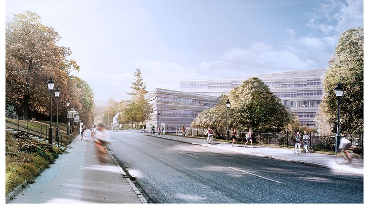 pm_3XN2
