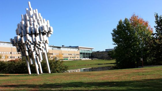 Drygt 1000 lärare till Umeå universitet på höstlovet