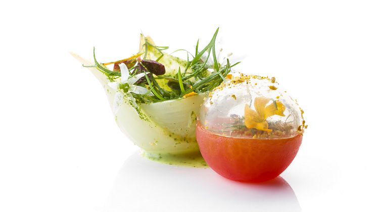 Bocuse-d'Or_2018_Garnityr_SG_Onion-and-Tomato