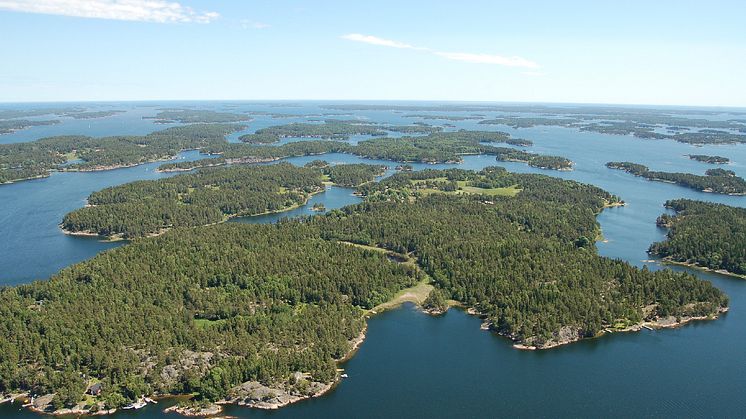 Öarnas storlek och placering är väldigt betydelsefullt för vilka sorters växter klarar landskapsförändringar. Foto: Sara Cousins