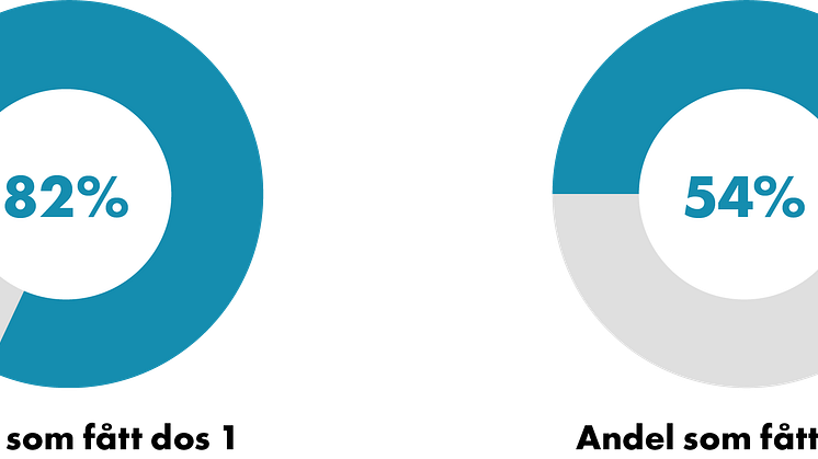 210730_Cirkel andel.png