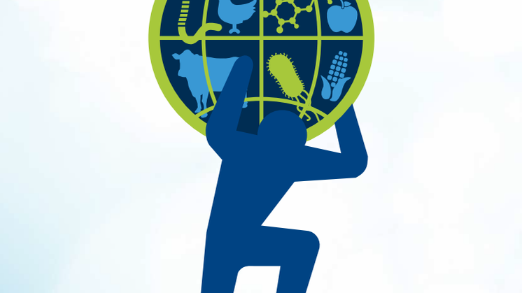 WHO estimates of the global burden of foodborne diseases.pdf