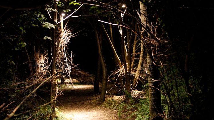 ​Kraftringen lyser upp kojskogen på Brunnshög