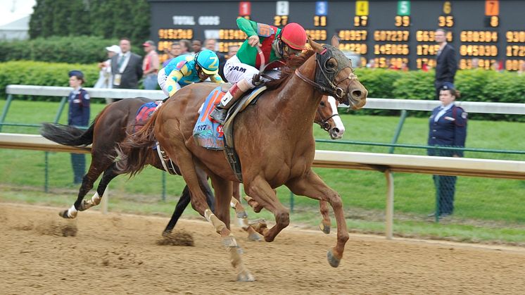 Animal Kingdom vinner Kentucky Derby 2011 med John Velazquez i sadeln