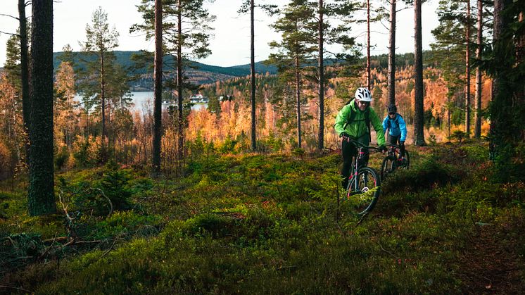 Aktuellt i Höga Kusten