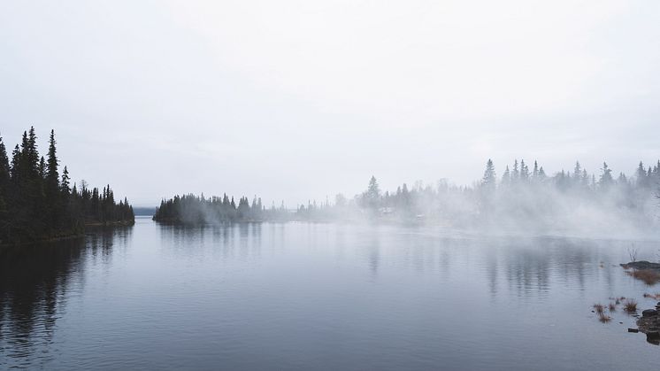 Miljøet