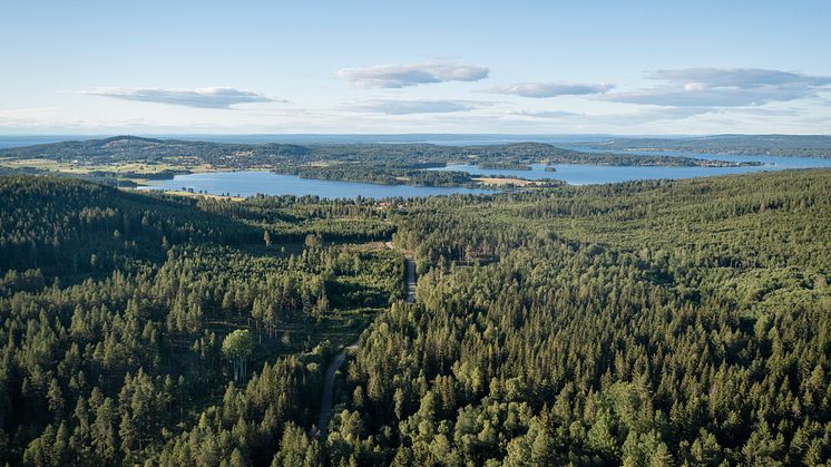 VisitDalarnaGranberget