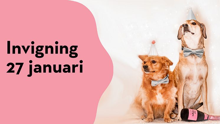 Varmt välkommen till vår nya hundhall i Kristinehamn. Foto Sandra Klingström  