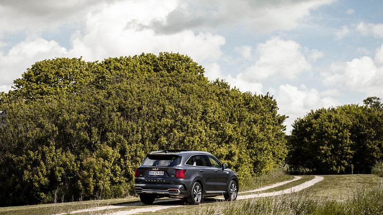 kia_sorento-9297