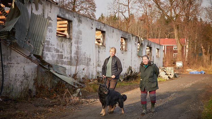 Årets Bragdhund 2024 Spårmarkens Otiz Fotograf Tord Saxin -3.jpg