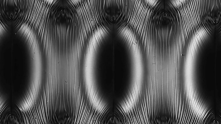 Northumbria scientists win national photography prize