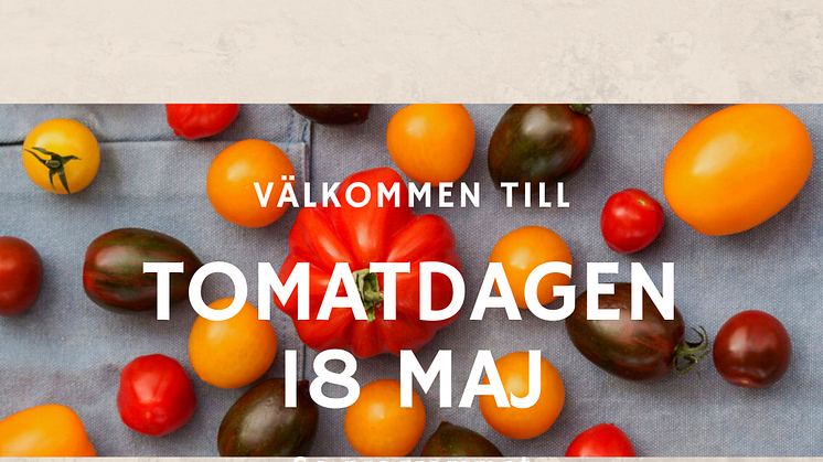 Möt bl a tomatodlare Annicka Assarsson denna växthusdag. Alvar Kårfors visar sina fantastiska odlingar av basilika, koriander, dill...
