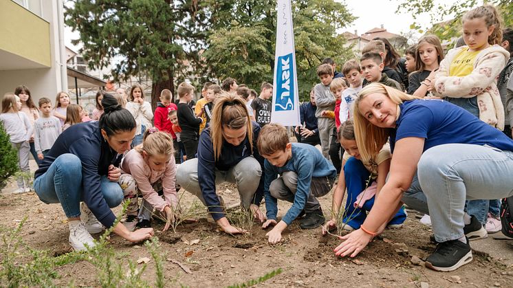 JYSK za moj zeleni grad: U Užicu zasađeno 80 sadnica četinara i ukrasnog šiblja