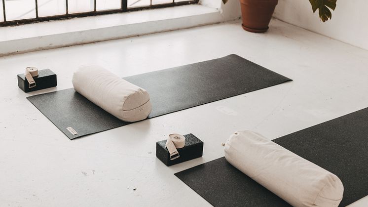 hejhej_yoga_bolster_01_Credits ®JENN AND THE CAMERA_ Jenn Wortham.jpg