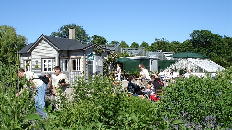 Gemensam trädgård i kvarteret