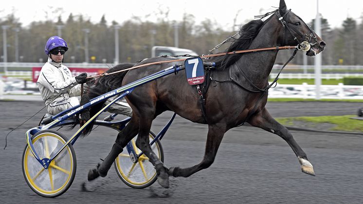 Bird Parker kommer till Harper Hanovers lopp