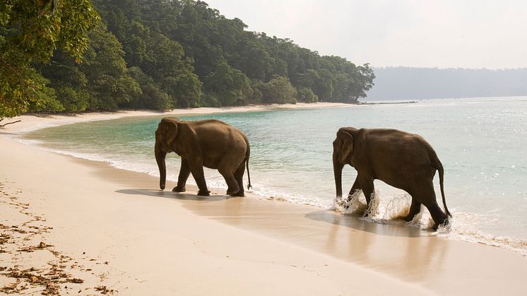 Havelock Island, Indien.
