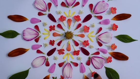 Blomsterpill med Hanna Wendelbo