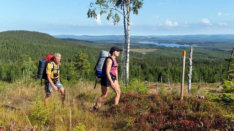 Foto Visit Torsby.jpg