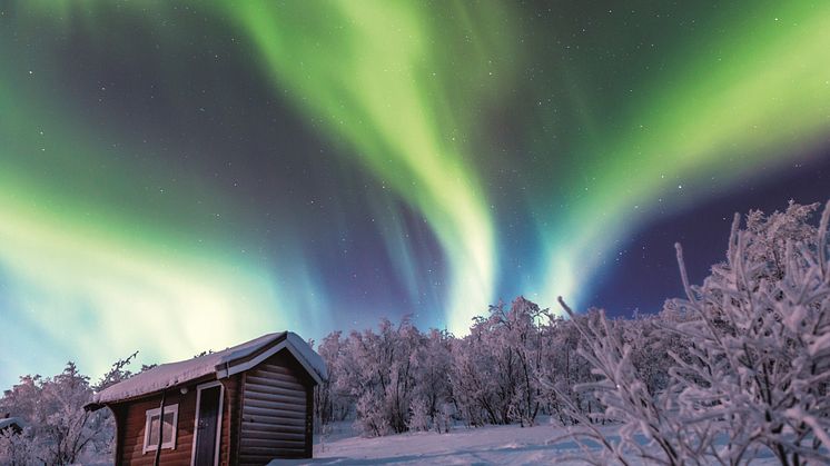 Norway - Northern Lights in Alta - low res.jpg