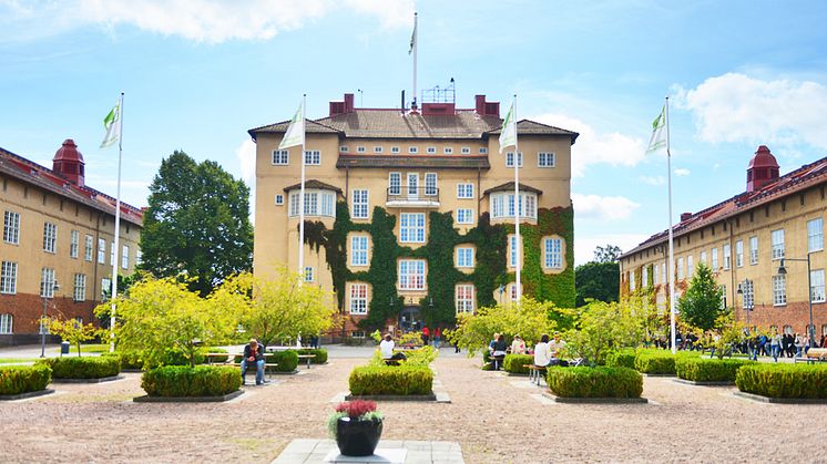 Hård konkurrens om utbildningsplatserna 