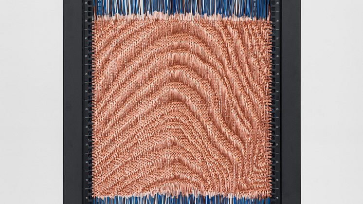 Honey Biba Beckerlee, Cu in Circuit, 2019