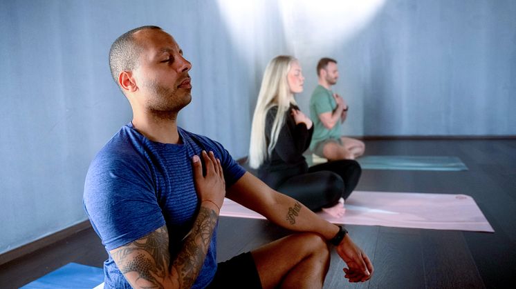 wellness bundle 3.webp