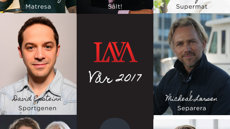 Lava förlags katalog vår 2017