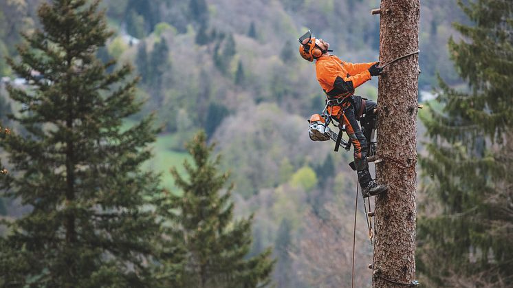 Nya STIHL MS 462, en riktig lättviktare