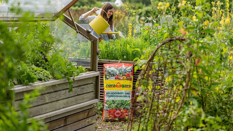 Mit der Bio Hochbeet- und Gewächshauserde von Floragard sind Gewächshausbeete optimal auf die kommende Pflanzperiode vorbereitet.