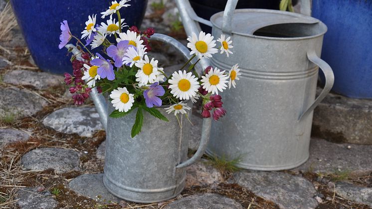 Glad midsommarhelg önskar Mercatus