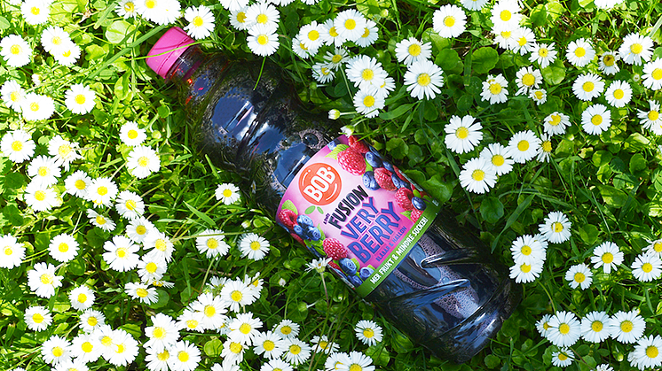 BOB Very Berry