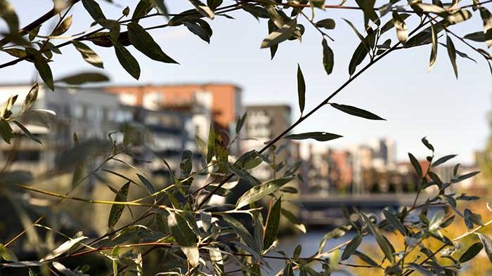 SVU-rapport 2014-13: Beslutsstöd inför stora investeringar inom VA ... (management)