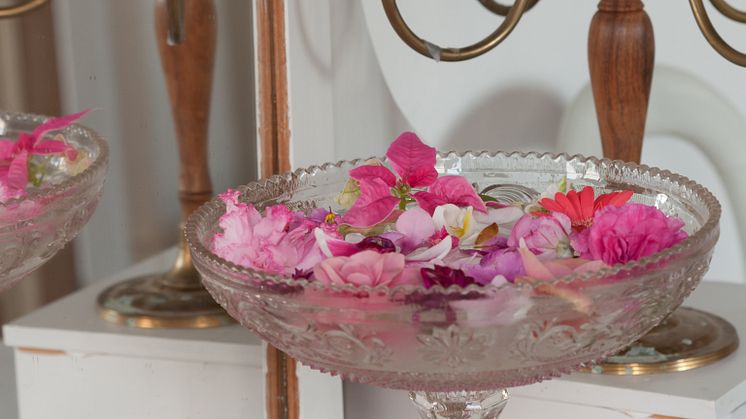 Svenskodlade rosa krukväxter från Mäster Grön