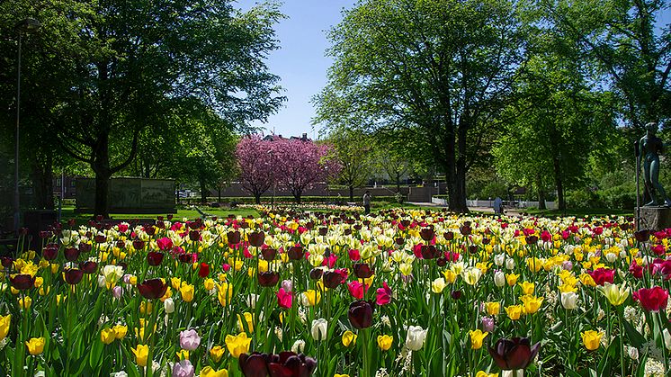 Lysekils Stadspark Park Inspira 2023