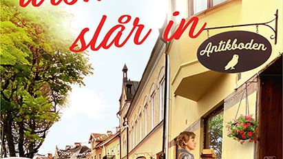 När drömmarna slår in omslag