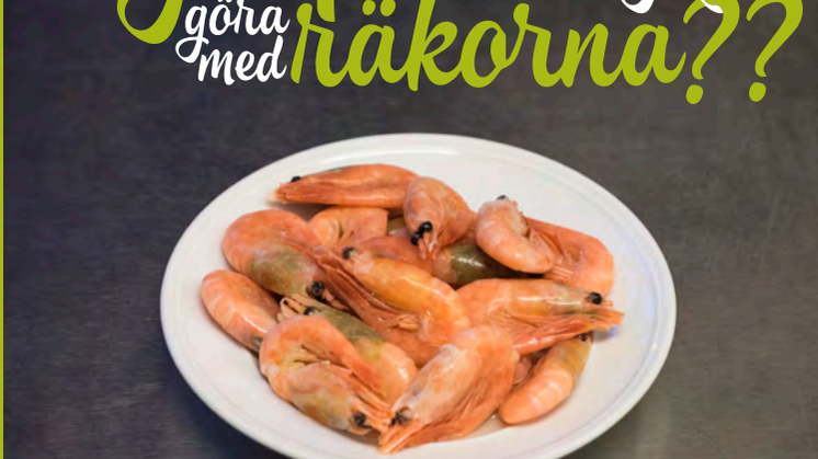 Hjälp vad ska jag göra med räkorna?? Provkapitel 