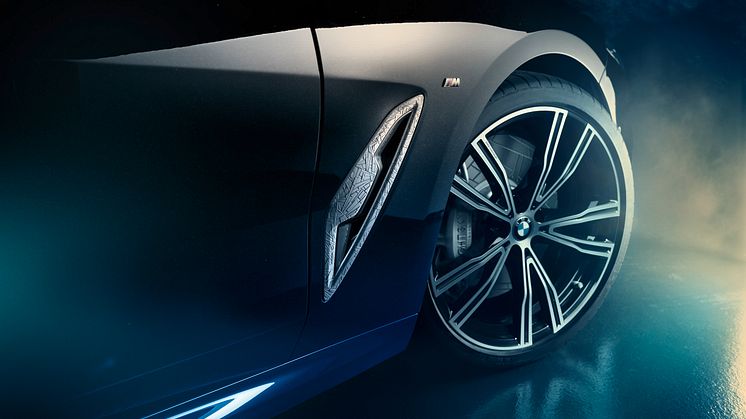 BMW Individual M850i «Night Sky»
