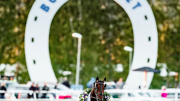 Propulsion segerdefilerar efter förra årets seger i Norrbottens Stora Pris 2018. FOTO: TR Media.