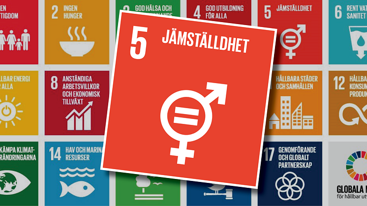 Genusbaserad utsatthet och sexuella trakasserier i fokus