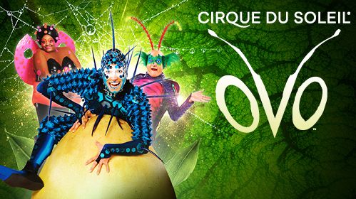 CirqueDuSoleil2023_Nyhetsbrev_600x280px_Malmo