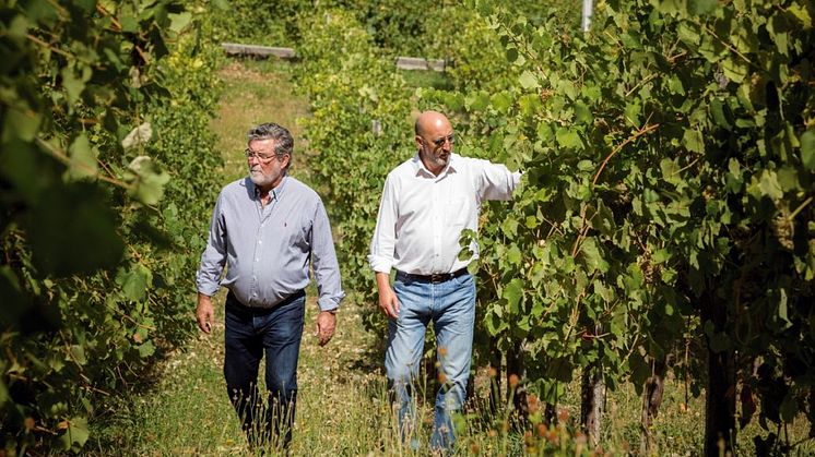 Ny producent! The Wineagency lanserar Valados de Melgaço Alvarinho Reserva 2020 i tillfälligt sortiment