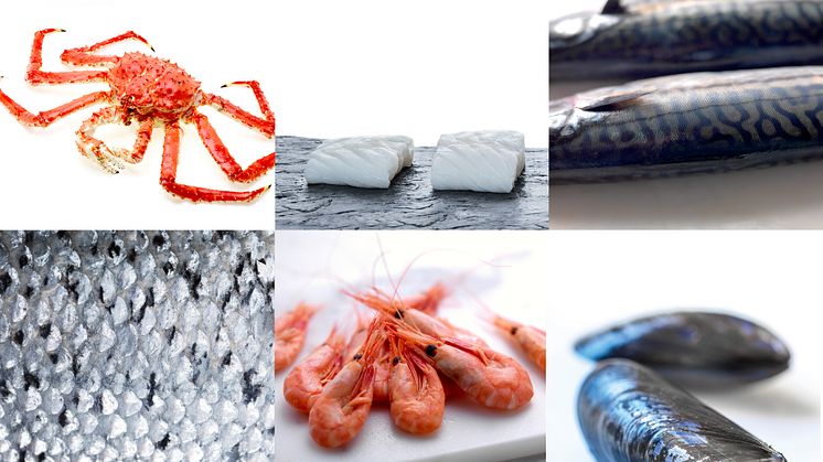Another record for Norwegian seafood exports in H1 2018