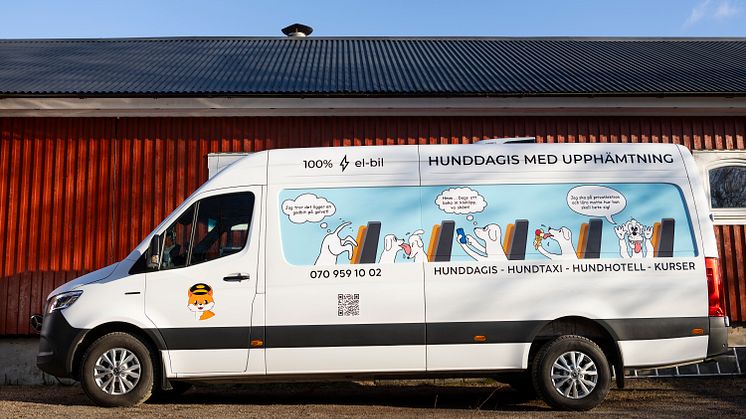 eSprinter Hundtaxi
