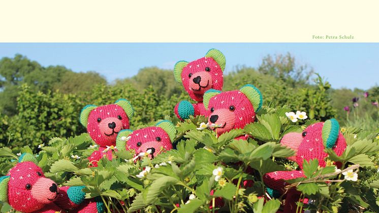 Bärenherz-Kalender für 2016 verfügbar