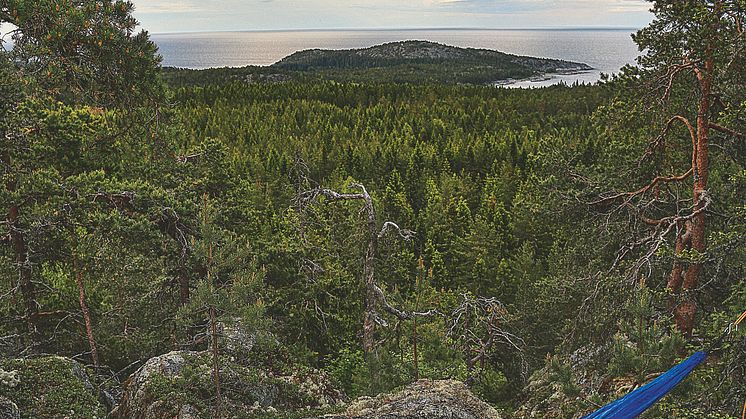 hängmatta med utsikt över havet, härnösand, höga kusten