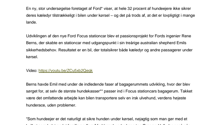 Menneskets bedste ven – men ikke i bilen?