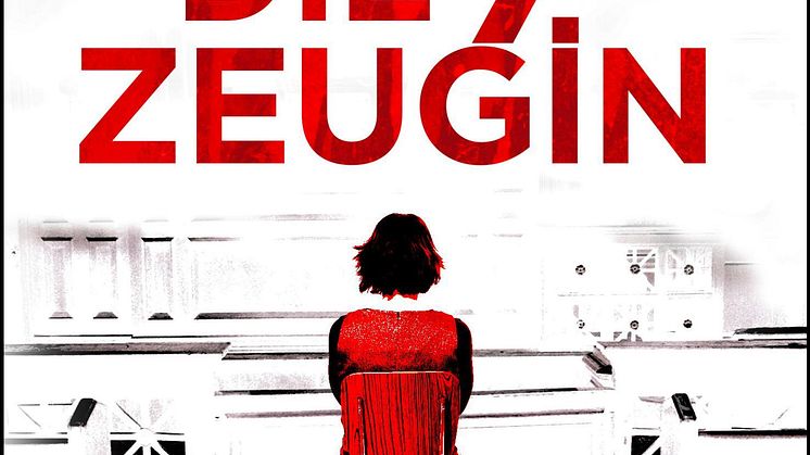 Buchcover_Die siebte Zeugin