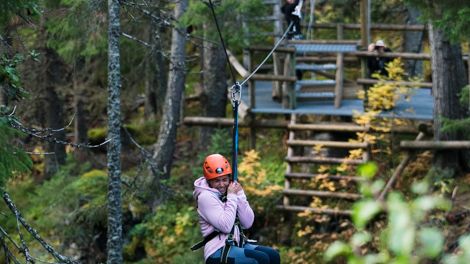 SkiStar sommar Zipline