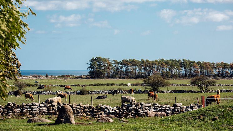 Sjömarker på sydöstra Öland